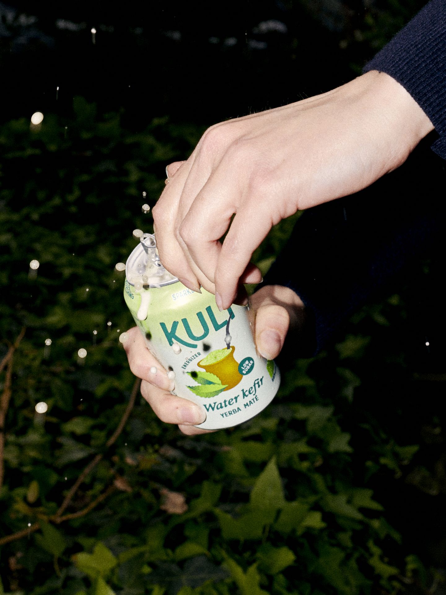 Yerba Maté