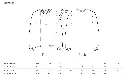 Size guide.webp